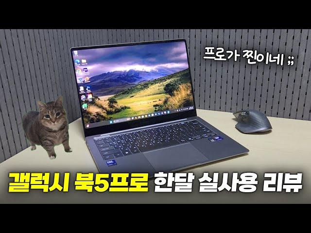 프로가 찐이네... 갤럭시 북5 프로 한달 실사용 분석 리뷰