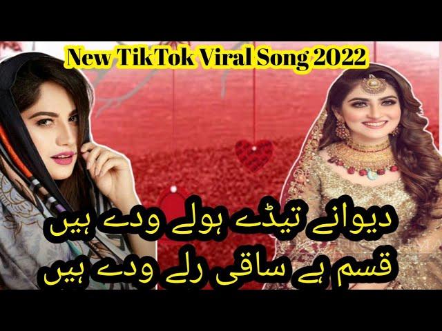 Dewany tedy holy Wady hain|| Kasam hy saqi ruly Wady hain|| New saraiki tiktok viral song 2022