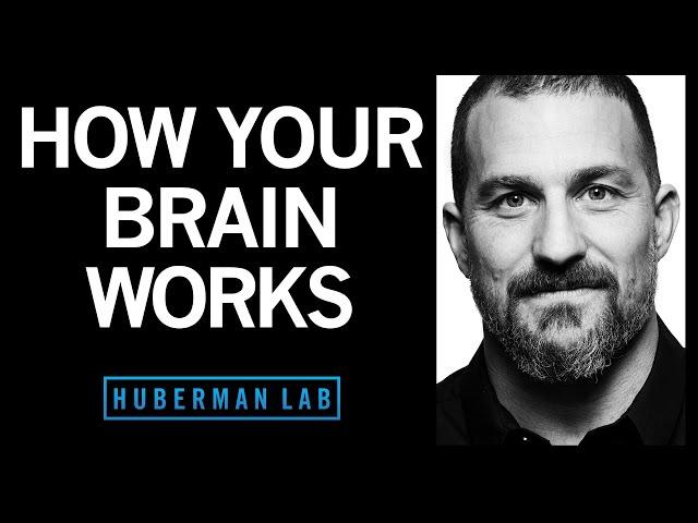 How Your Brain Works & Changes