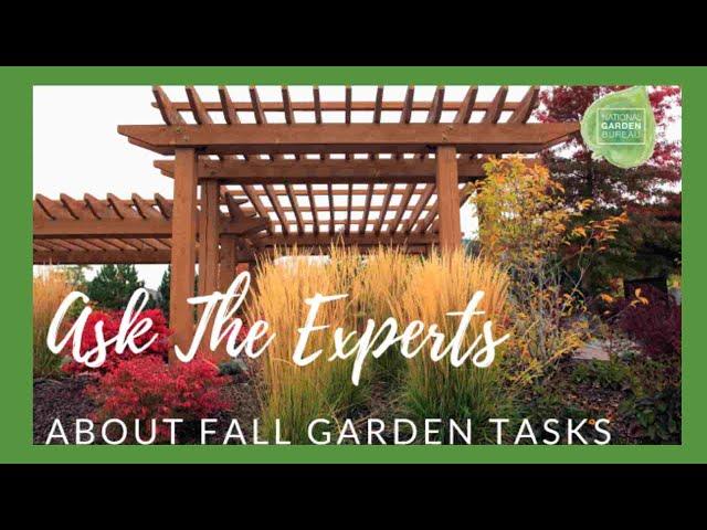 Fall Garden Tasks: Experts Reveal The Must-do Tips For A Thriving Garden Now & in the Spring