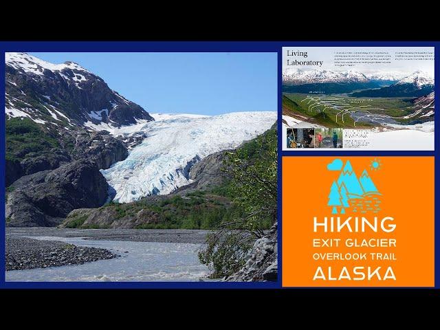 Hiking Exit Glacier Overlook Trail - Kenai Fjords National Park - Alaska #exitglacier #kenaifjords