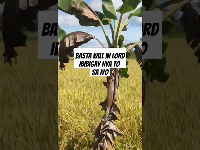according to your will Lord