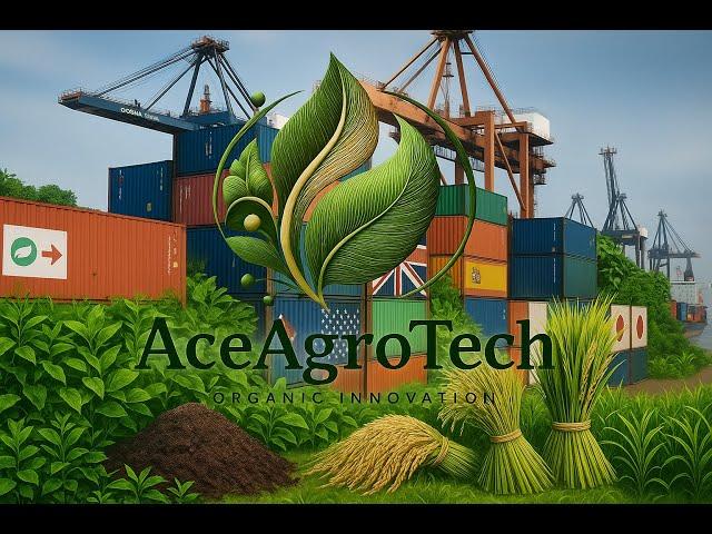 Ace Agro Tech   Organic Farming, B2B Rice Exports  #RiceExport ##AgriBusinessIndia  #B2BIndia