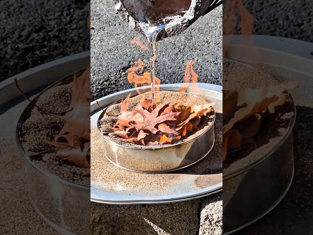 Molten Aluminium VS Leaves #molten #metal #satisfying #experiment