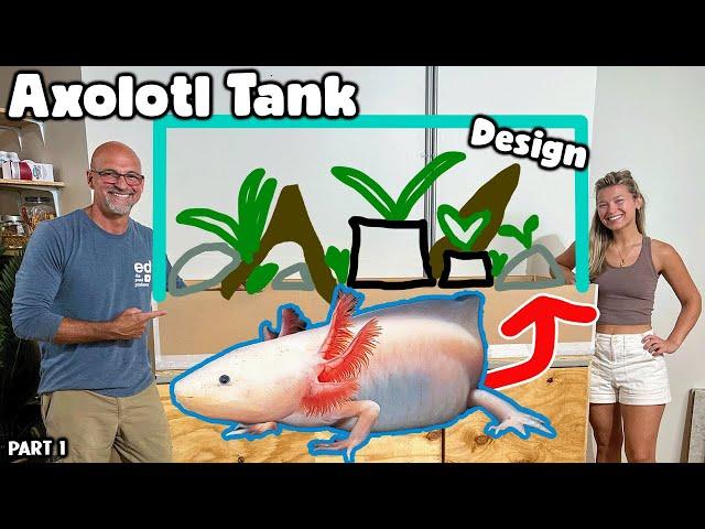 Giving an Endangered Mexican Axolotl an Oasis @AquariumInfo Part 1