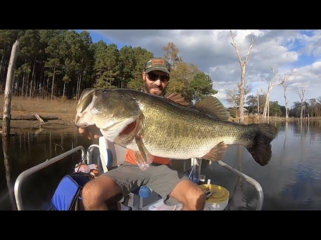 TOP 3 GIANT SPRING LARGEMOUTH BASS (compilation)