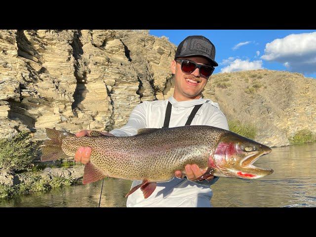 The BIGGEST TROUT in Colorado Live In This River!