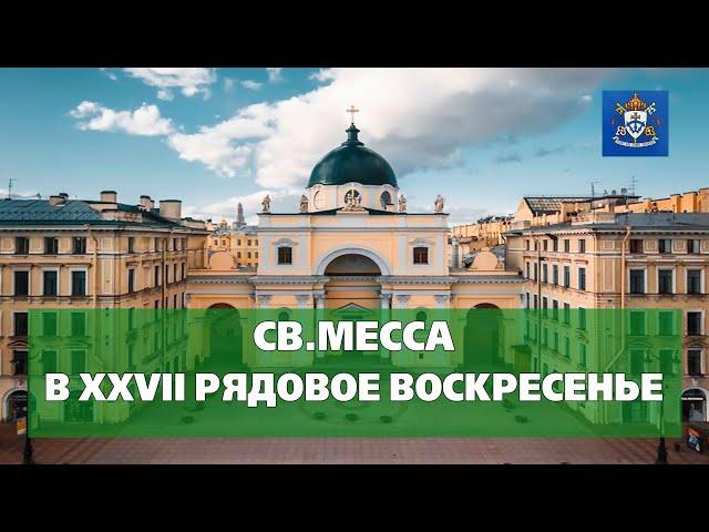 СВ.МЕССЫ В XXVII РЯДОВОЕ ВОСКРЕСЕНЬЕ 06.10.2024 в 10.45 и 12.00