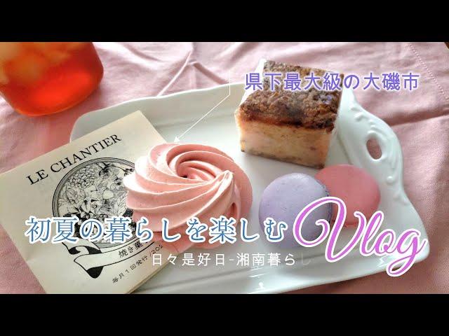 【暮らしのVlog】首都圏最大のマルシェ大磯市｜鎌倉殿の矢口餅を買いに鎌倉へ｜栗原はるみさんRecipe鰹の漬け丼