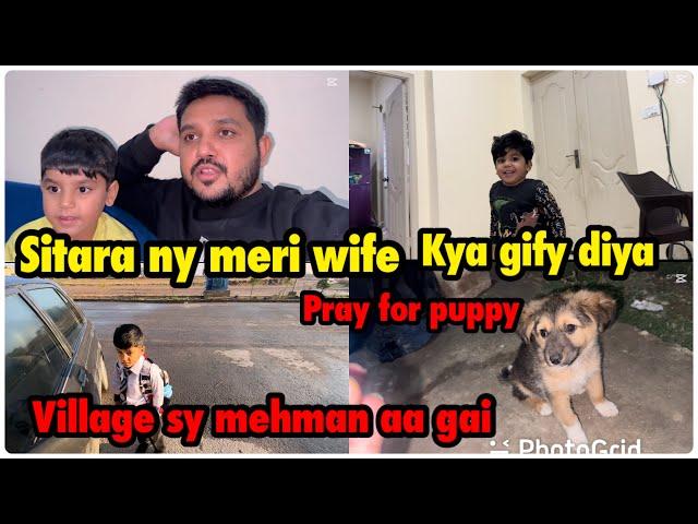 Sitara ny wife ko kya gift diya | village sy mehman aa gai | pray for puppy .. babar Akbar vlog