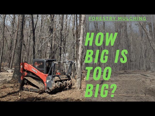 Forestry Mulching Large Tree with a Kubota SVL95 and Loftness Battle Ax.