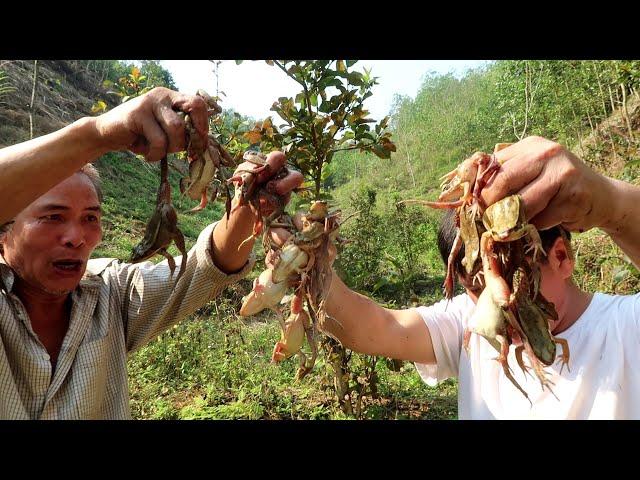 How to cook delicious forest frog - Cooking skills