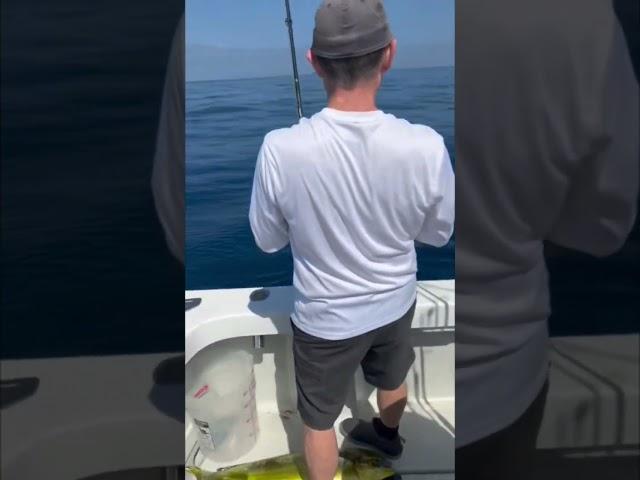 WORLD RECORD BREAKING MAHI FISHING! #fishing #tuna #bassfishing