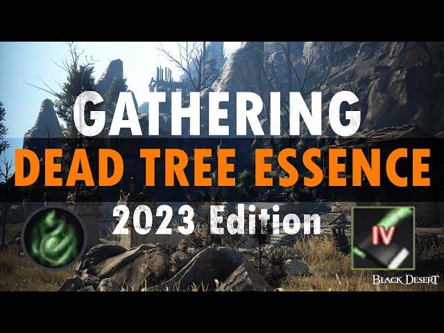 Black Desert Online Gathering Dead Tree Essence - 1 hour - 2023 Edition