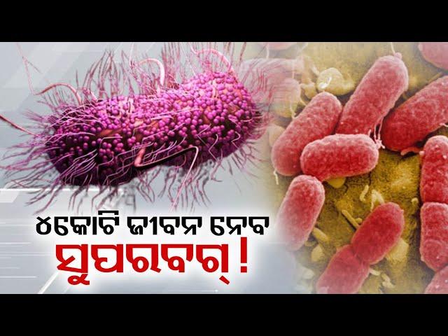 Superbugs may kill 4 crore people world wide || Kalinga TV