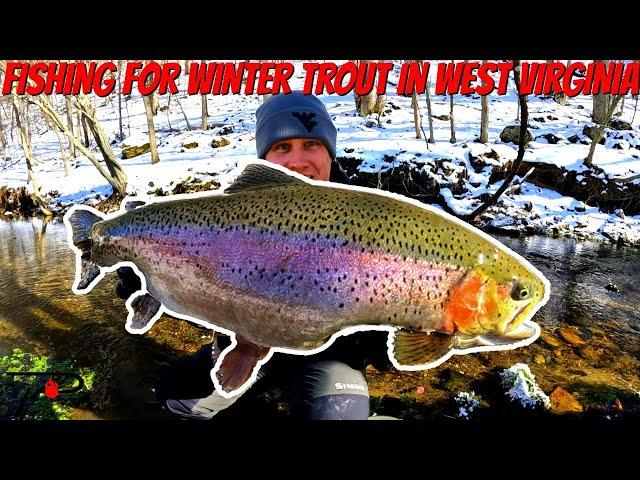 West Virginia Winter Trout Fishing