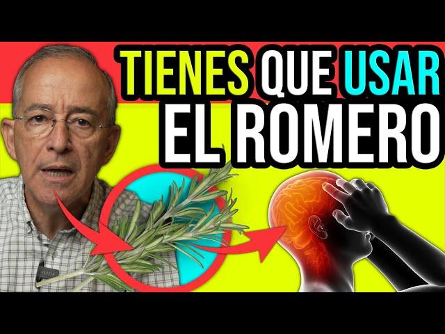 BENEFICIOS DEL ROMERO UNA PLANTA LLENA DE BONDADES SALUDABLES - Oswaldo Restrepo RSC