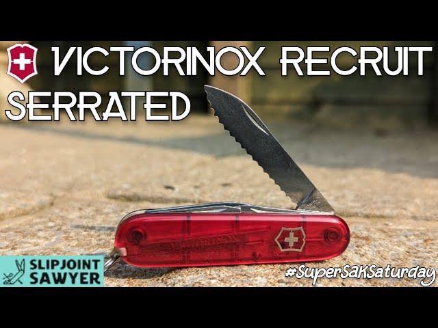 Victorinox Recruit Serrated Swiss Army Knife 0.2503 (53241) #supersaksaturday