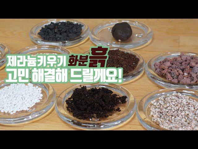 제라늄 키우기 화분 흙 고민하지 마세요! 산흙 밭흙 인공흙에대해 자세히 알려드립니다. potting soil for geranium growing