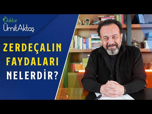 Zerdeçalın Faydaları Nelerdir ve Nasıl Kullanılır? | Bitkilerin Altını!