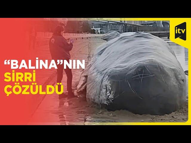 Xəzər dənizində görüntülənən nəhəng “balina” maket imiş