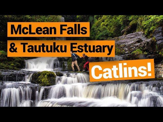 ️ Travelling the Catlins: McLean Falls & Tautuku Estuary –  New Zealand's Biggest Gap Year