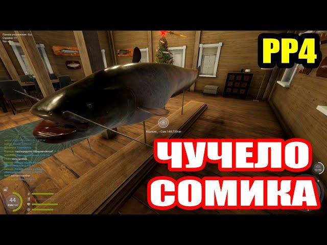 Сколько стоил мне ТРОФЕЙНЫЙ СОМ? ● Русская Рыбалка 4 | РР4