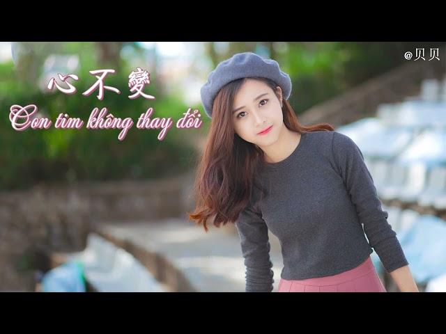 越南流行的歌曲 | 心不变 | Con tim không thay đổi - DEE TRẦN