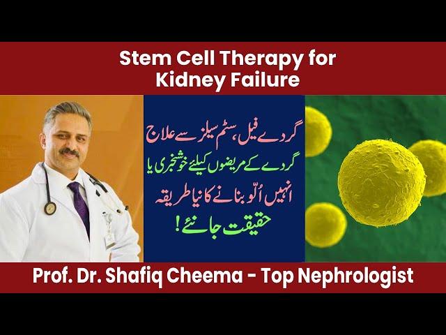 Role of Stem Cell Therapy In Kidney Failure