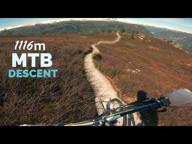 From Mountain to Fjord - Followcam Friday S2E06