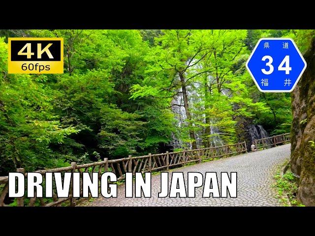 【Driving in Japan】Fukui Prefectural Route 34: Matsugatani - Ono [Insta 360 Ace Pro 4K60P]