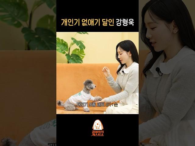 강아지들의 비밀을 누설한 강형욱
