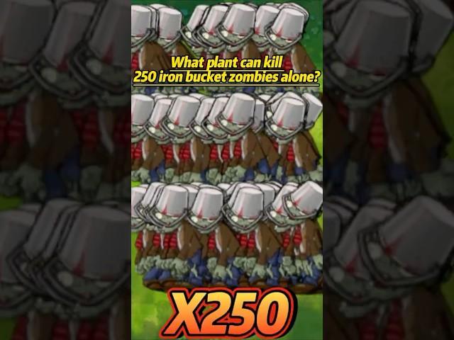 PVZ fusion 2.3.1 Challenge!!What plant can kill 250 iron bucket zombies alone？ #pvz #pvzfusion