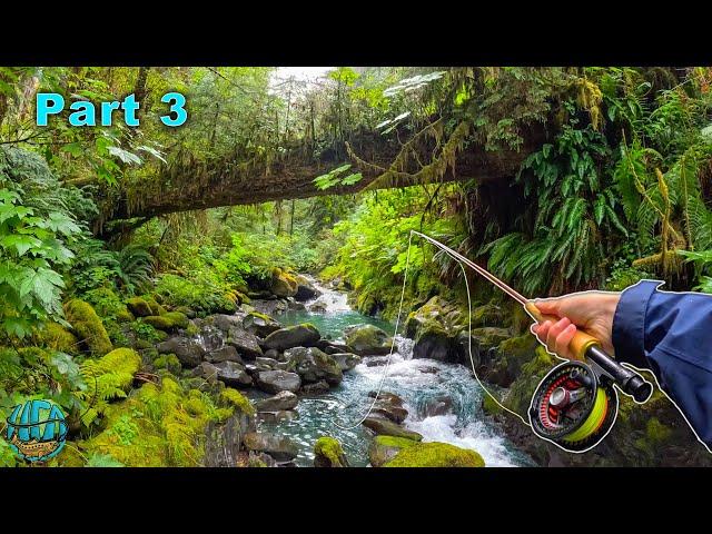 Fly Fishing and Exploring the Most Beautiful Water I've Ever Seen! (Trout Fishing)