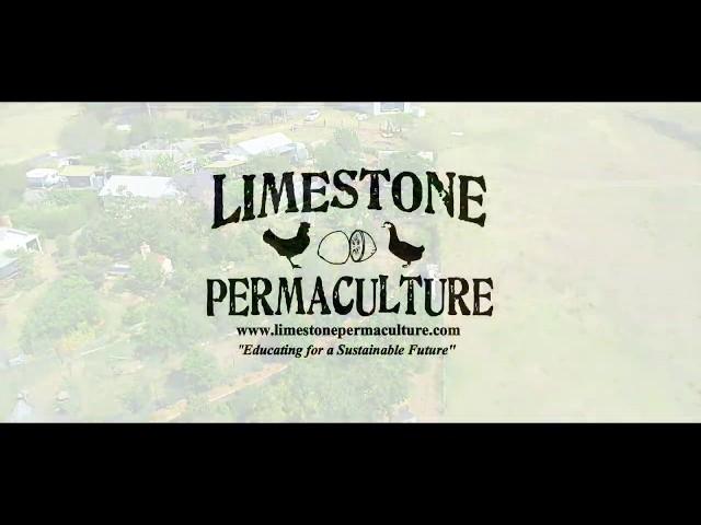 Permaculture Principles in Action - Summer 2020