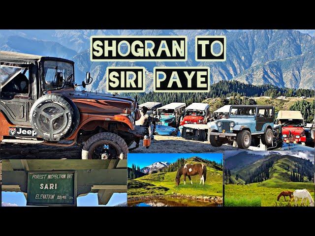 Shogran valley | Siri Paye Meadows | Must visit place in Kaghan Valley | Complete travel guide 2024