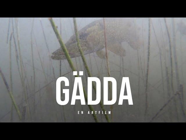 Gädda - En artfilm