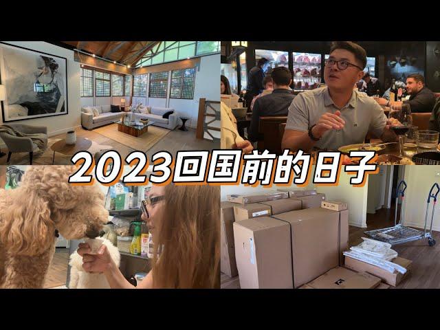 【尔湾房产经纪人Vlog】2023回国前的日子Vlog-Momo的好朋友来sleep over｜客人的新家布置让客人可以move in ready｜美房showing day｜牛排馆｜和牛大餐