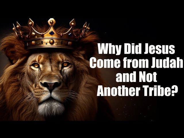 Why Jesus descended from the tribe of Judah rather than another son of Jacob