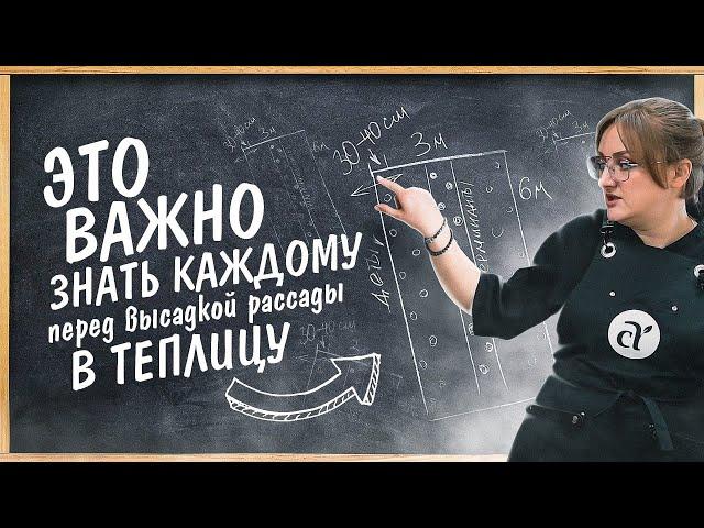 ТОМАТЫ в ТЕПЛИЦЕ. РАСПОЛОЖИТЕ ИХ ТАК!