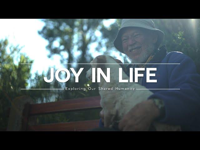 THE JOY IN LIFE - Joy Makes Life Beautiful. Joy Heals Our Wounds And Fills Our Souls With Goodness