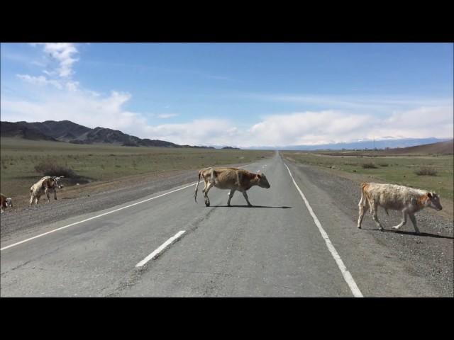 Beautiful Tuva - Western Tuva - Traveling in Russia