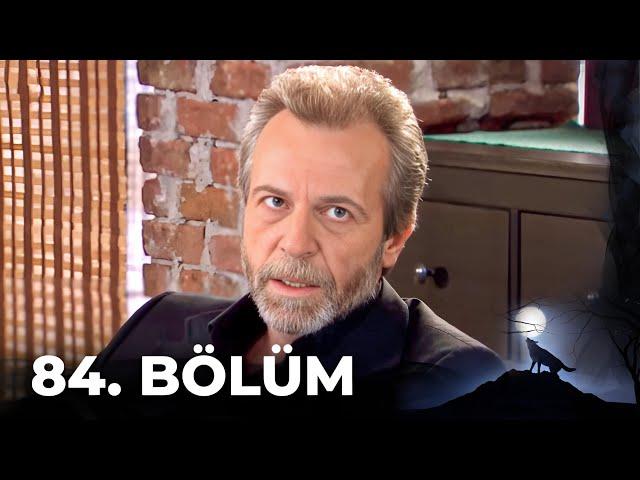 Kurtlar Vadisi Pusu - 84. Bölüm FULL HD