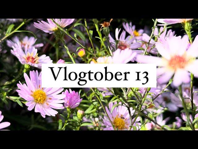 Vlogtober numéro 13#vlogtober #vlogtober2024