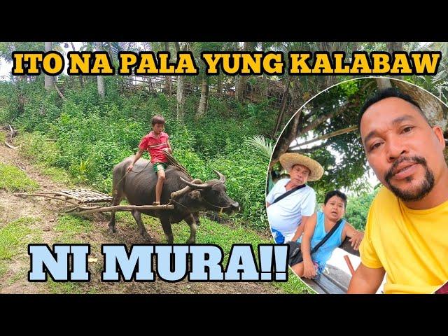 PART 7 KALABAW NI MURA ITO NA PALA/KWARTO MAY PALITADA NA