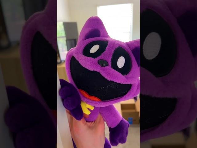 Bro is Dog DEAD  #plush #plushmemes #plushies #plushtoys