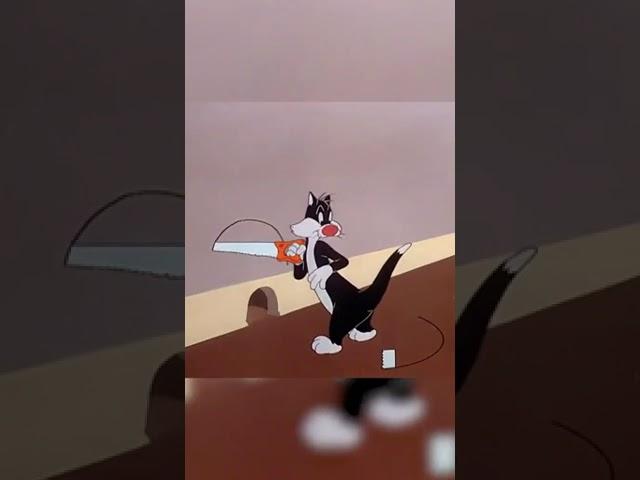 # fun cartoons videos, # shorts video. cartoons..