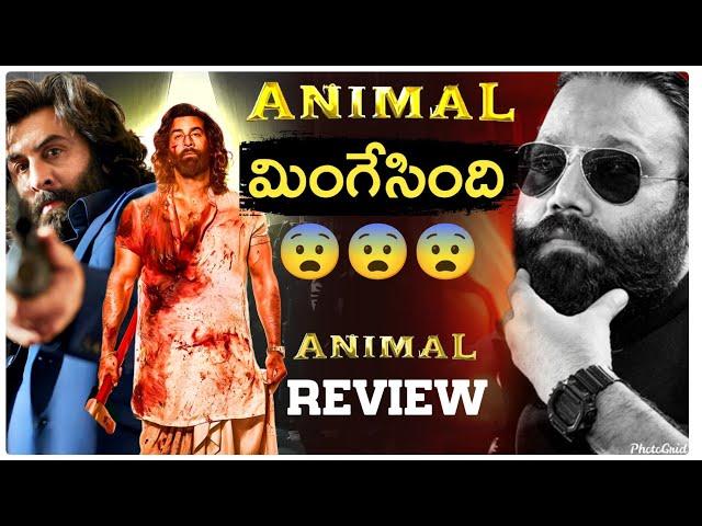 Animal Movie REVIEW | Telugu | Movie Matters