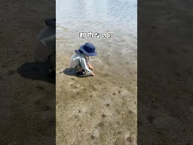 【都内で海遊び】品川から6分の遊べる海！