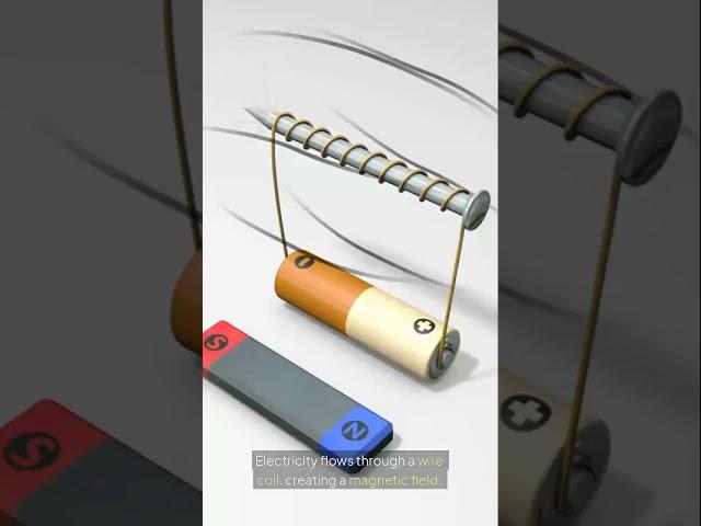 How does the electric motor work? #science #facts #electrical #engineering #tech